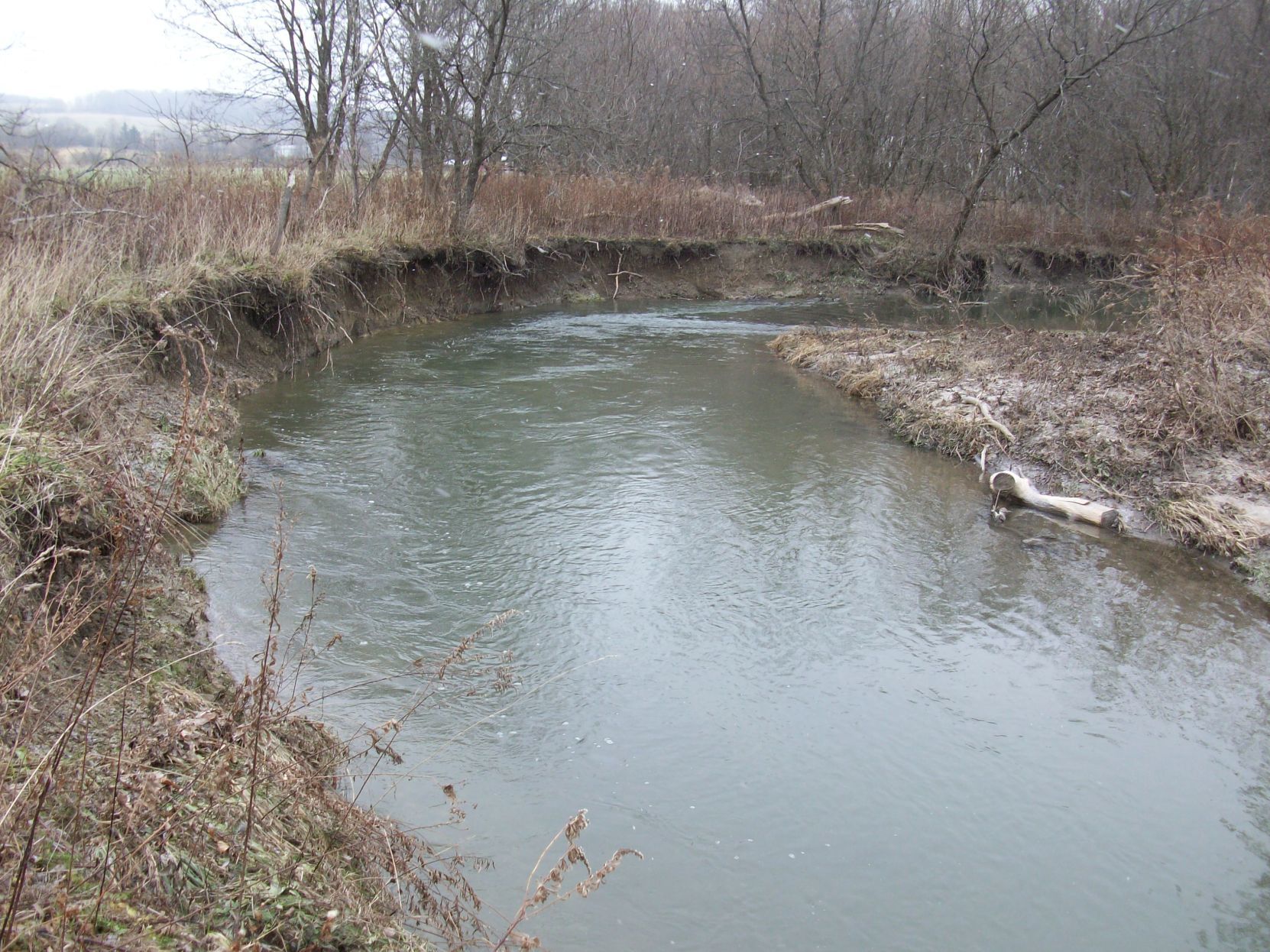 Dutch Hollow